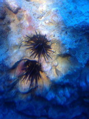 photo (2).jpg