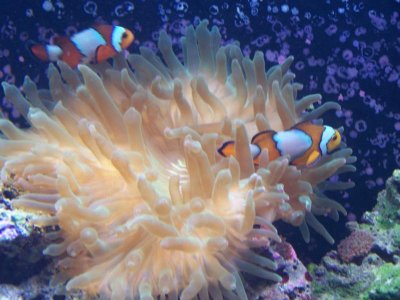 150g 013.jpg