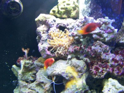 150g 030.jpg