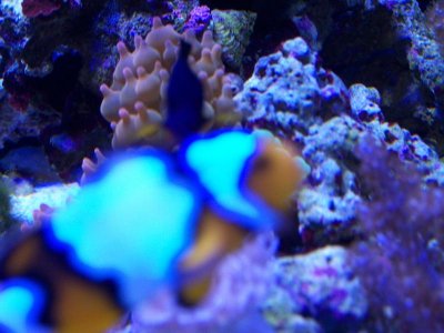 150g 033.jpg