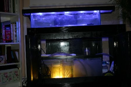 led_on_empty_tank.jpg