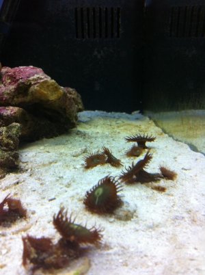IMG_0387.jpg
