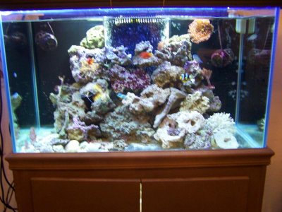 150g 032.jpg