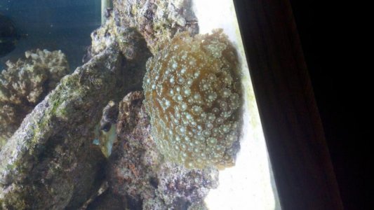 2012-04-13_12-48-19_821 (1).jpg