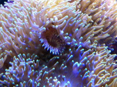 IMG_1497.jpg