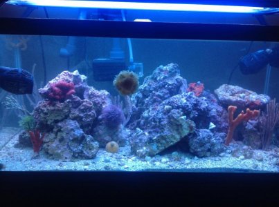 tank shot 4.30.jpg