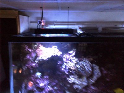 Pipe Creek-20120501-00020.jpg