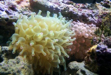 2012-04-30 10.57.07.jpg