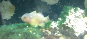 Screen shot 2012-04-15 at 11.14.57 AM.png