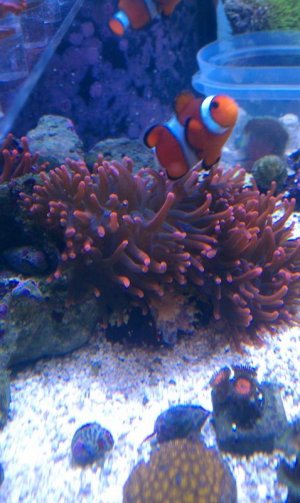 IMAG0366.jpg