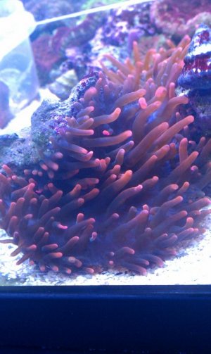 IMAG0367.jpg