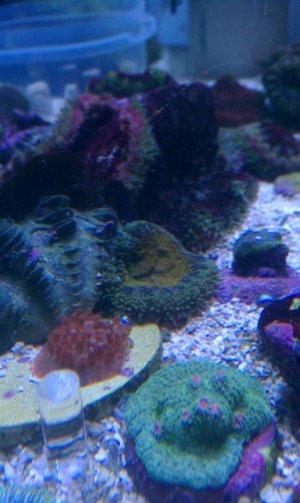 IMAG0368.jpg