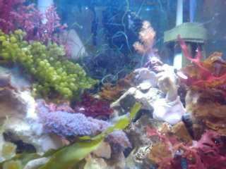 2012-04-15 17.26.43.jpg