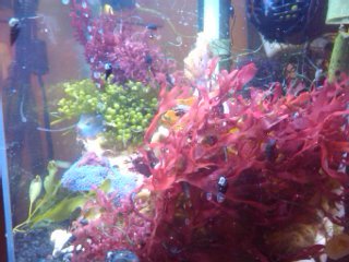 2012-04-15 17.27.04.jpg