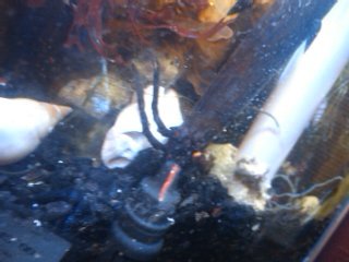 2012-04-15 17.27.14.jpg