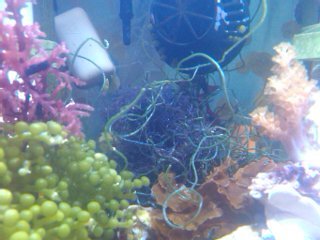 2012-04-15 17.27.36.jpg