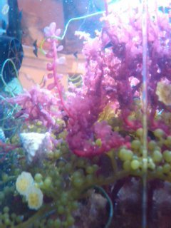 2012-04-15 17.27.50.jpg