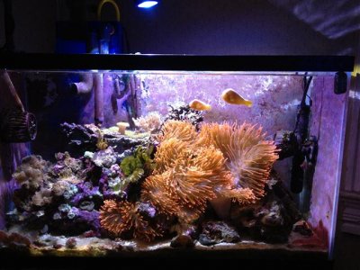 IMG_0214 (Small).JPG