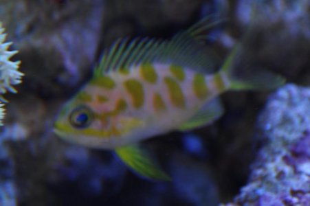 CSC_1313.jpg