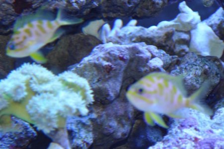 DSC_1290.jpg