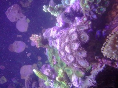 2012-05-02 17.48.13.jpg