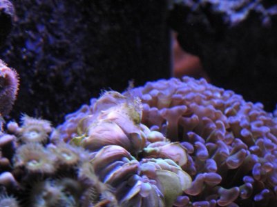 IMG_1436.jpg