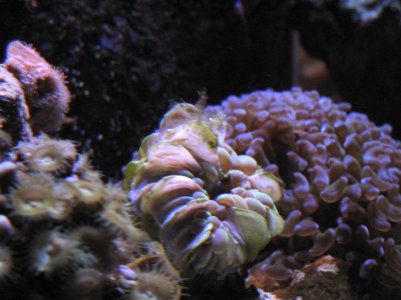 IMG_1438.jpg