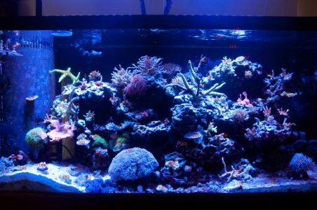 50 All PAR 5.3.12.jpg