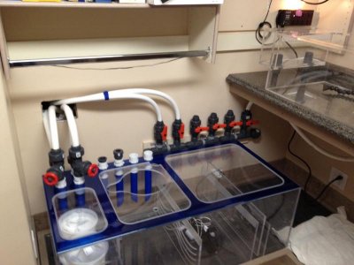 IMG_0876.jpg IMG_0876.jpg