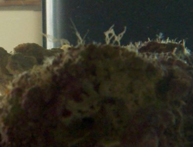 IMG_20120416_083030.jpg