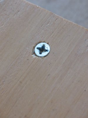 3 - screw in counter sunk hole.JPG