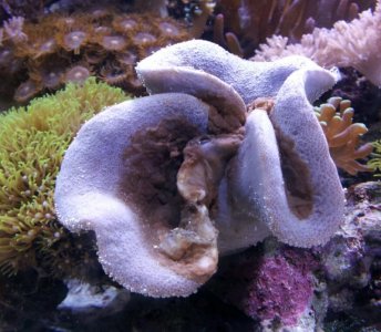 2012-04-17 22.25.18.jpg