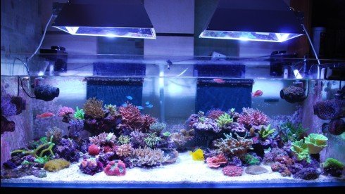 Second tank.jpg