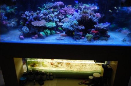 Sump.jpg