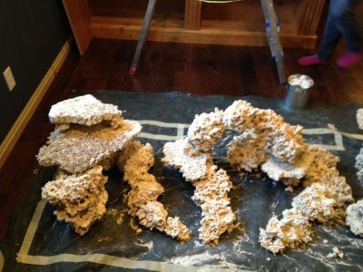 IMG_0889.jpg IMG_0889.jpg