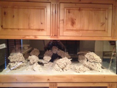 IMG_0890.jpg IMG_0890.jpg