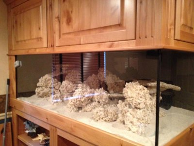 IMG_0893.jpg IMG_0893.jpg