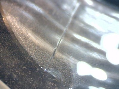 eggs572012.jpg