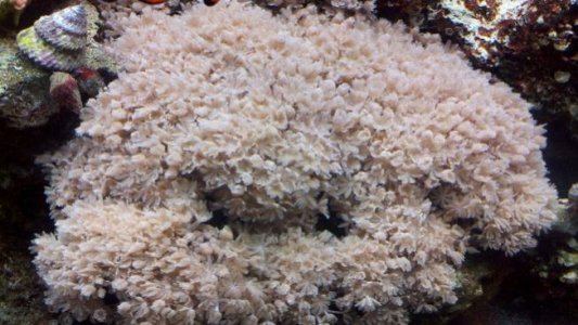 2012-05-07_17-28-07_421.jpg