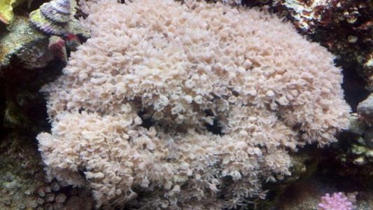 2012-05-07_17-27-57_522.jpg