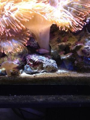 IMG_0223 (Small).JPG