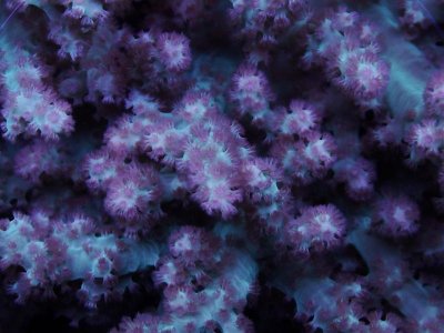 DSCF3724 (1280x960).jpg