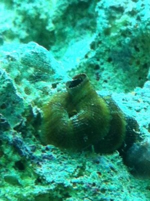 IMG_1862.jpg
