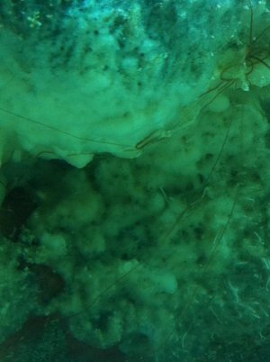 IMG_1869.jpg