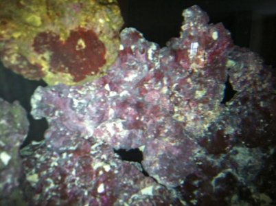 rock3.jpg