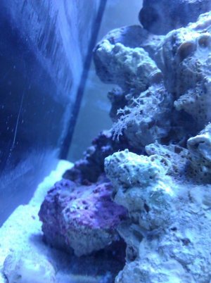 IMG_20120508_174833.jpg