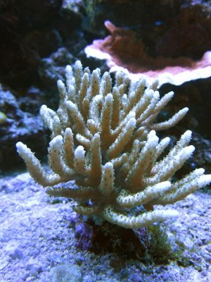 IMG_1644.jpg