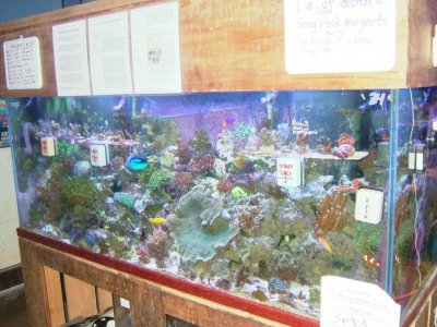 DSCF1258.jpg DSCF1258.jpg