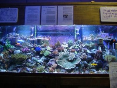 DSCF1263.JPG DSCF1263.JPG