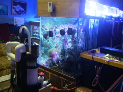 DSCF1266.jpg DSCF1266.jpg